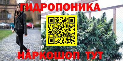 a pvp Гай